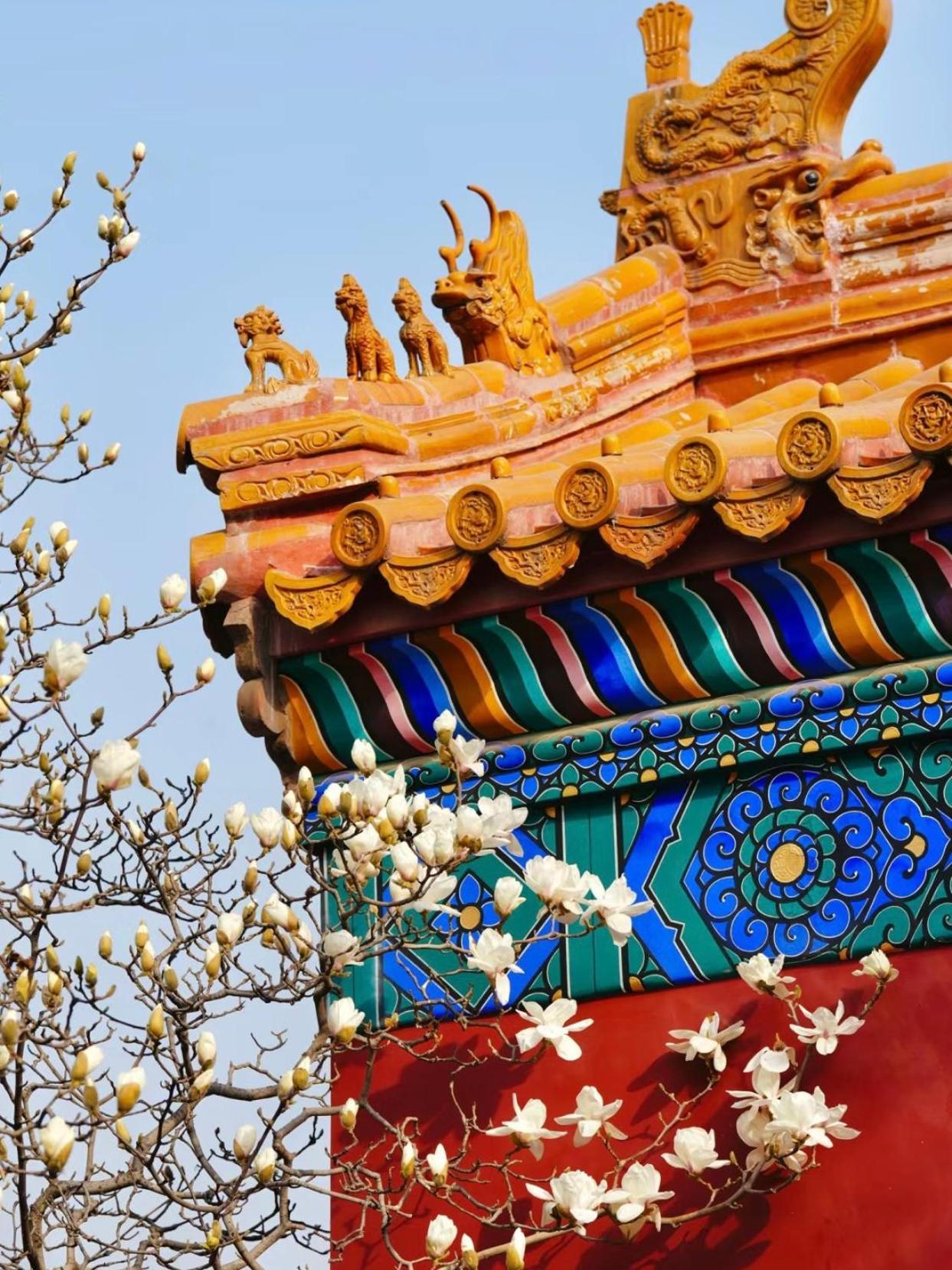 Happy Dragon Courtyard- Newly Renovated With French Windows, Near Tian'Anmen Forbidden City,Lama Temple And Heaven Temple, 3Minutes Walk From Subway,Fluent English Speaking With Tourist Sights Tickets Service ,Free Coffee &Laundry Service Pekín Exterior foto